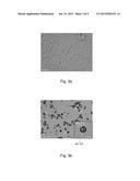 ENCAPSULATION SYSTEM diagram and image