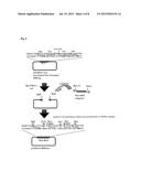 LIPID MEMBRANE STRUCTURE HAVING INTRANUCLEAR MIGRATING PROPERTY diagram and image