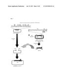 LIPID MEMBRANE STRUCTURE HAVING INTRANUCLEAR MIGRATING PROPERTY diagram and image