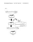 LIPID MEMBRANE STRUCTURE HAVING INTRANUCLEAR MIGRATING PROPERTY diagram and image