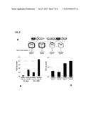 LIPID MEMBRANE STRUCTURE HAVING INTRANUCLEAR MIGRATING PROPERTY diagram and image