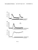 METHODS FOR IDENTIFYING AGENTS FOR TREATING SMOOTH MUSCLE DISORDERS AND     COMPOSITIONS THEREOF diagram and image