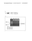 Medicament for wound treatment diagram and image