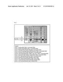 Medicament for wound treatment diagram and image