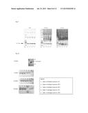 Medicament for wound treatment diagram and image