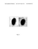 Method of Using Attenuated Bordetella Strains diagram and image