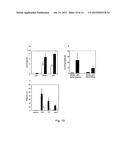 Method of Using Attenuated Bordetella Strains diagram and image