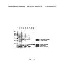 Molecular Antigen Array diagram and image