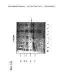 Molecular Antigen Array diagram and image