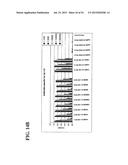 Molecular Antigen Array diagram and image