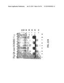 Molecular Antigen Array diagram and image