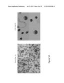 Toxicity Management for Anti-Tumor Activity of CARs diagram and image