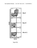 Toxicity Management for Anti-Tumor Activity of CARs diagram and image