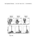 Toxicity Management for Anti-Tumor Activity of CARs diagram and image