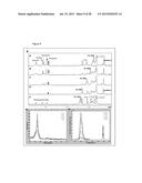 CONJUGATE OF A PHOTOSENSITISER AND CHITOSAN AND USES THEREOF diagram and image