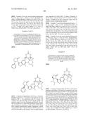 COMPOUNDS AND METHODS FOR TREATING BACTERIAL INFECTIONS diagram and image