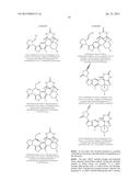 COMPOUNDS AND METHODS FOR TREATING BACTERIAL INFECTIONS diagram and image