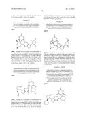 COMPOUNDS AND METHODS FOR TREATING BACTERIAL INFECTIONS diagram and image