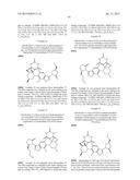 COMPOUNDS AND METHODS FOR TREATING BACTERIAL INFECTIONS diagram and image