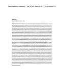 ANTIBODIES TO ION CHANNELS diagram and image