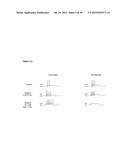 ANTIBODIES TO ION CHANNELS diagram and image