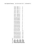 ANTIBODIES TO ION CHANNELS diagram and image