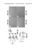 METHODS OF ISOLATING AND CULTURING STEM CELLS diagram and image