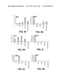 METHODS OF ISOLATING AND CULTURING STEM CELLS diagram and image