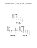 METHODS OF ISOLATING AND CULTURING STEM CELLS diagram and image