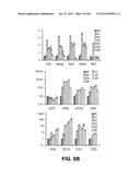 METHODS OF ISOLATING AND CULTURING STEM CELLS diagram and image