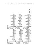 METHODS OF ISOLATING AND CULTURING STEM CELLS diagram and image