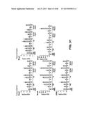 METHODS OF ISOLATING AND CULTURING STEM CELLS diagram and image