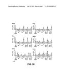 METHODS OF ISOLATING AND CULTURING STEM CELLS diagram and image