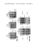 METHODS OF ISOLATING AND CULTURING STEM CELLS diagram and image