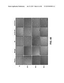 METHODS OF ISOLATING AND CULTURING STEM CELLS diagram and image