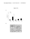 EXOSOMES AND MICRO-RIBONUCLEIC ACIDS FOR TISSUE REGENERATION diagram and image