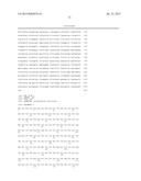 RECOMBINANT BACTERIA COMPRISING NOVEL SUCROSE TRANSPORTERS diagram and image