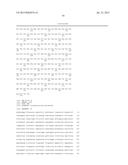 RECOMBINANT BACTERIA COMPRISING NOVEL SUCROSE TRANSPORTERS diagram and image