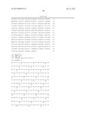 RECOMBINANT BACTERIA COMPRISING NOVEL SUCROSE TRANSPORTERS diagram and image