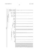 DUAL PHASE STEEL SHEET AND MANUFACTURING METHOD THEREOF diagram and image