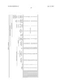 DUAL PHASE STEEL SHEET AND MANUFACTURING METHOD THEREOF diagram and image