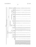 DUAL PHASE STEEL SHEET AND MANUFACTURING METHOD THEREOF diagram and image