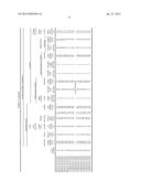 DUAL PHASE STEEL SHEET AND MANUFACTURING METHOD THEREOF diagram and image