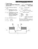 CONTACT STRIPS FOR ELECTROLYSIS CELLS diagram and image