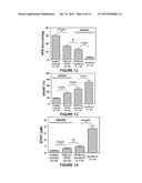 METHOD FOR ASSESSMENT OF HEPATIC FUNCTION AND PORTAL BLOOD FLOW diagram and image