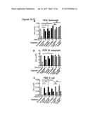 PERFORIN 2 DEFENSE AGAINST INVASIVE AND MULTIDRUG RESISTANT PATHOGENS diagram and image