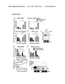 PERFORIN 2 DEFENSE AGAINST INVASIVE AND MULTIDRUG RESISTANT PATHOGENS diagram and image