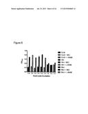 PERFORIN 2 DEFENSE AGAINST INVASIVE AND MULTIDRUG RESISTANT PATHOGENS diagram and image