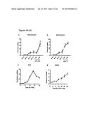 PERFORIN 2 DEFENSE AGAINST INVASIVE AND MULTIDRUG RESISTANT PATHOGENS diagram and image