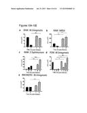 PERFORIN 2 DEFENSE AGAINST INVASIVE AND MULTIDRUG RESISTANT PATHOGENS diagram and image